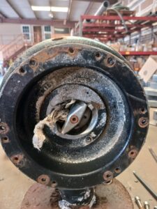 not so flushable wipes clogging the pipes, Balmorhea State Park