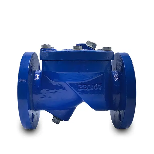 Swing Check Valve